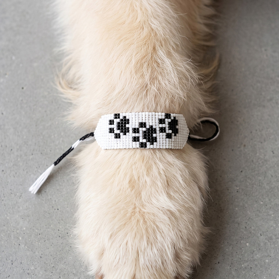 Hand Beaded Paw Motif White Bracelet Rakhi With Roli Chawal For Pets