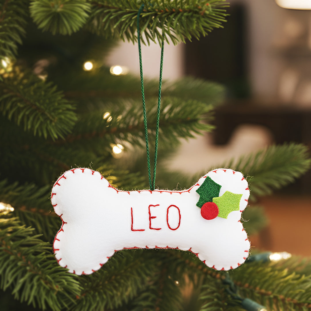 Personalized Handmade Bone Theme Felt Christmas Ornament