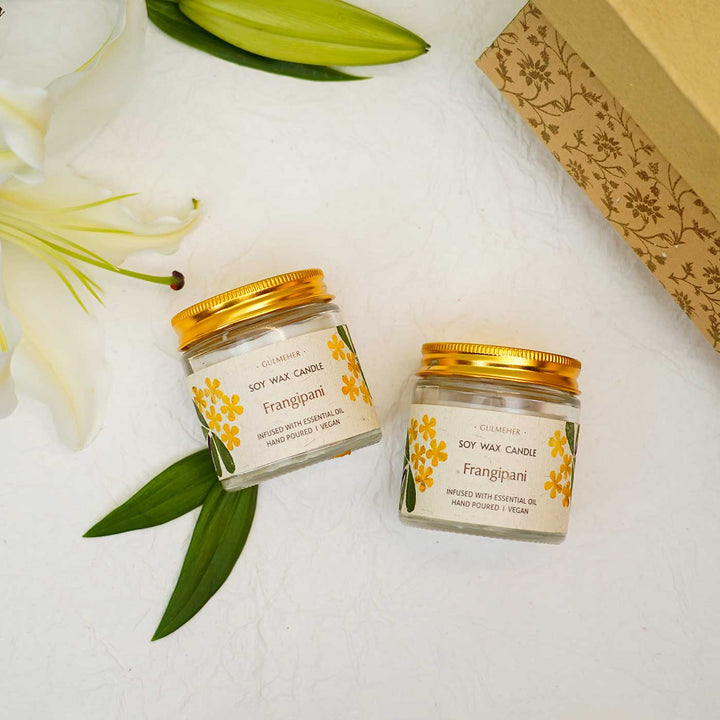 Set of 2 | Soy Wax & Pressed Dry Flower Scented Frangipani Candles