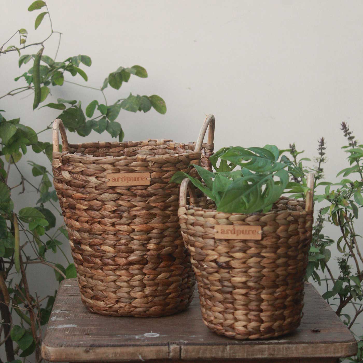 Buy Handmade Wicker Water Hyacinth Planter Pot with Handles | Set Of 2 ...