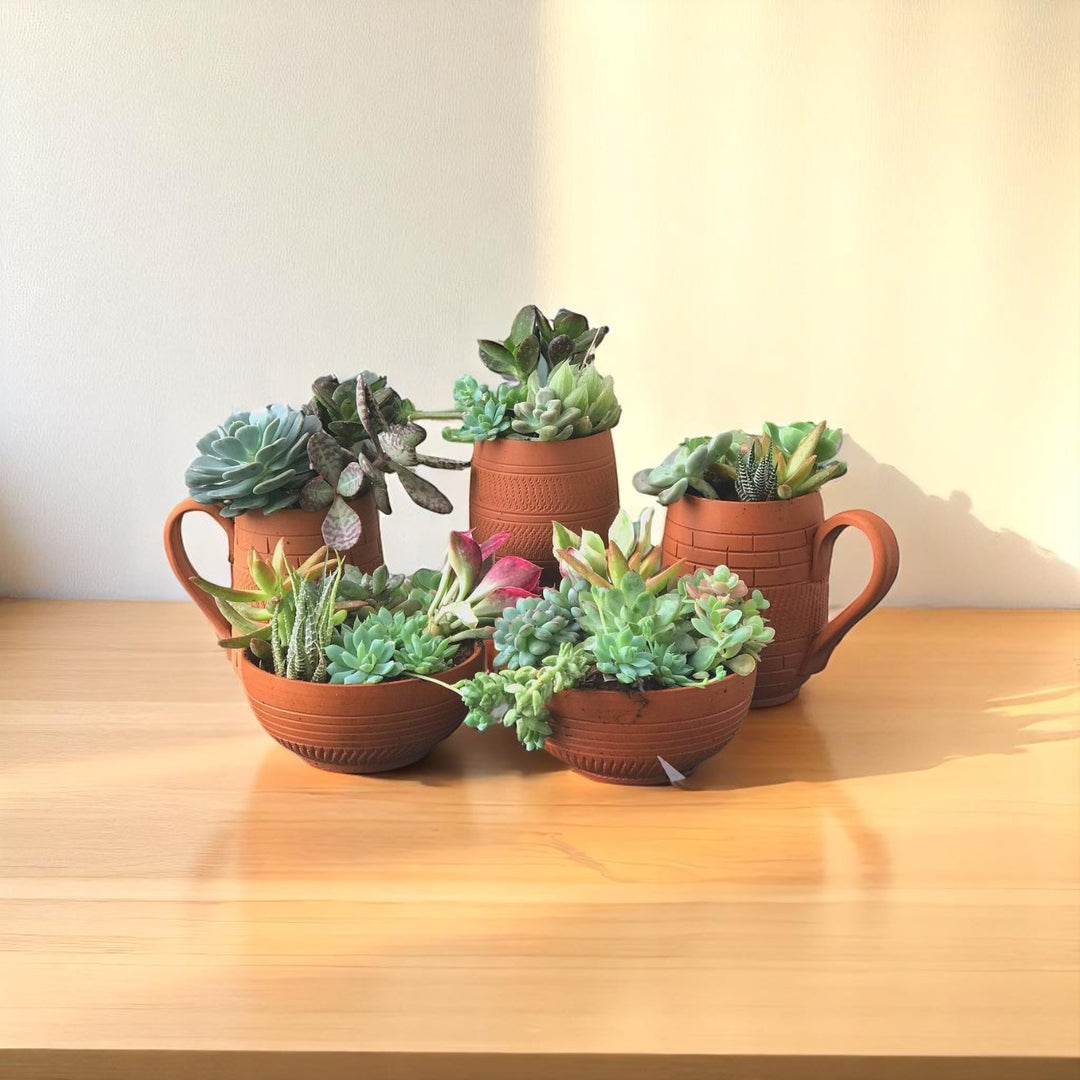 Handmade Coffee Mug Set Terracotta Planter Pots | Set Of 5