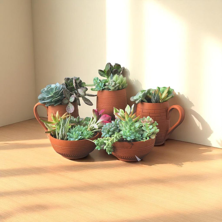 Handmade Coffee Mug Set Terracotta Planter Pots | Set Of 5