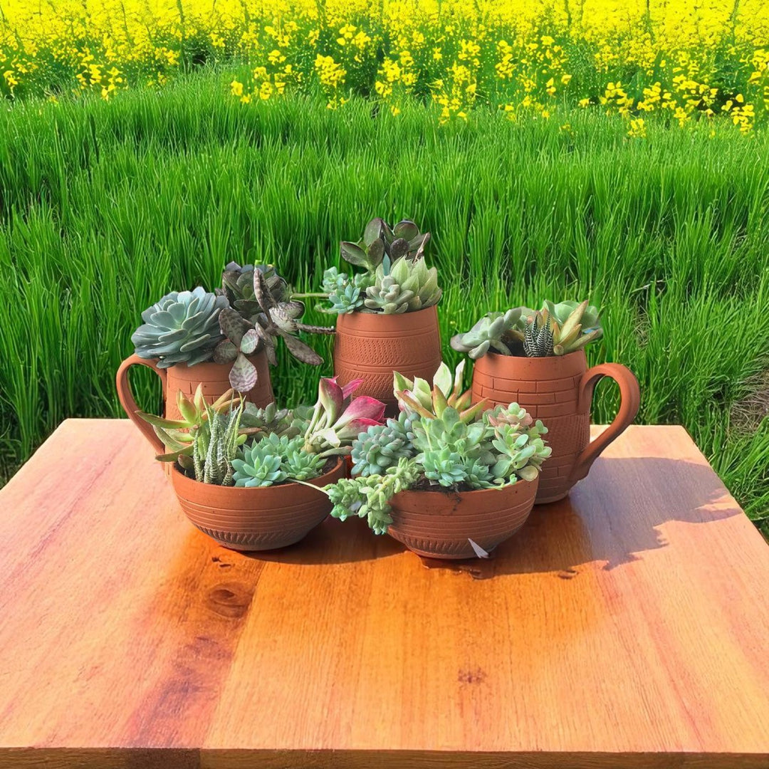 Handmade Coffee Mug Set Terracotta Planter Pots | Set Of 5