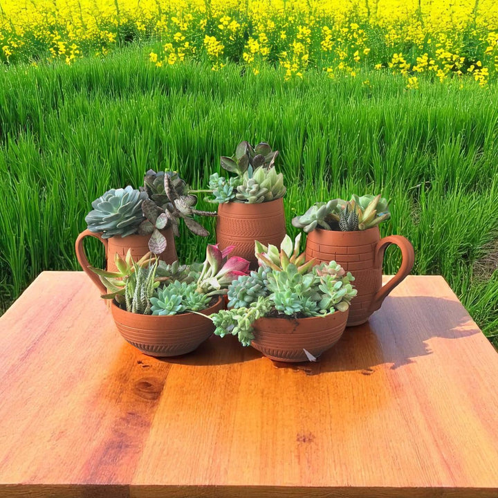 Handmade Coffee Mug Set Terracotta Planter Pots | Set Of 5
