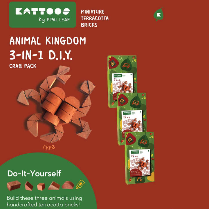 Terracotta Bricks DIY Construction Set | 3 Crabs