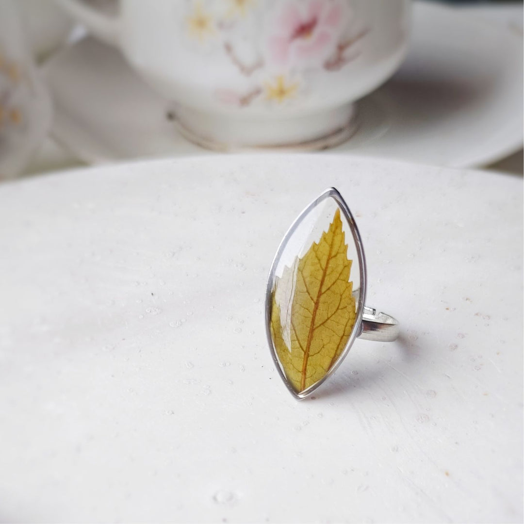 Leaf of Faith Preserved Flower Ring - Hibiscus