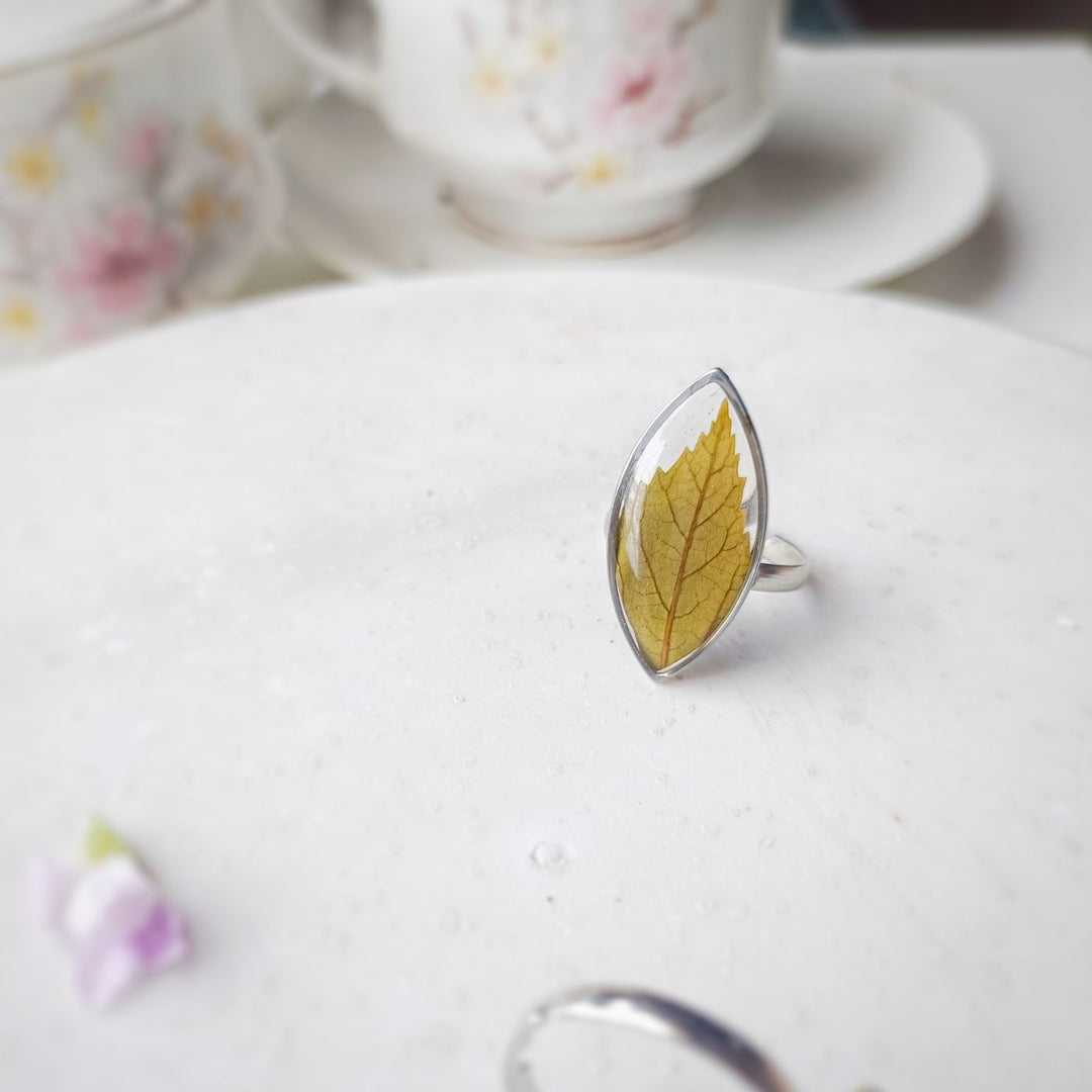 Leaf of Faith Preserved Flower Ring - Hibiscus