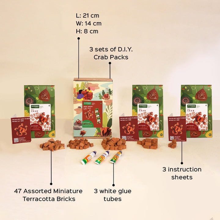 Terracotta Bricks DIY Construction Set | 3 Crabs