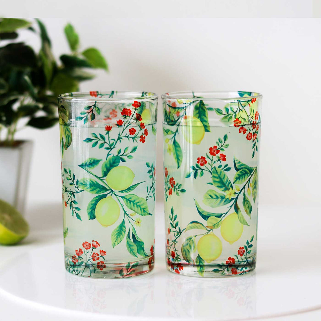 Delicate Printed Glass Tumblers I 250 ML