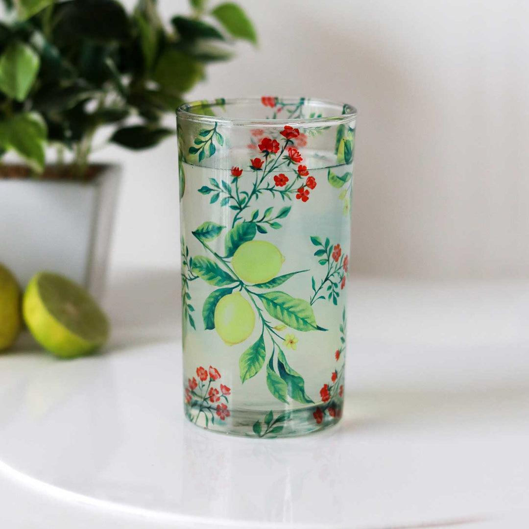 Delicate Printed Glass Tumblers I 250 ML