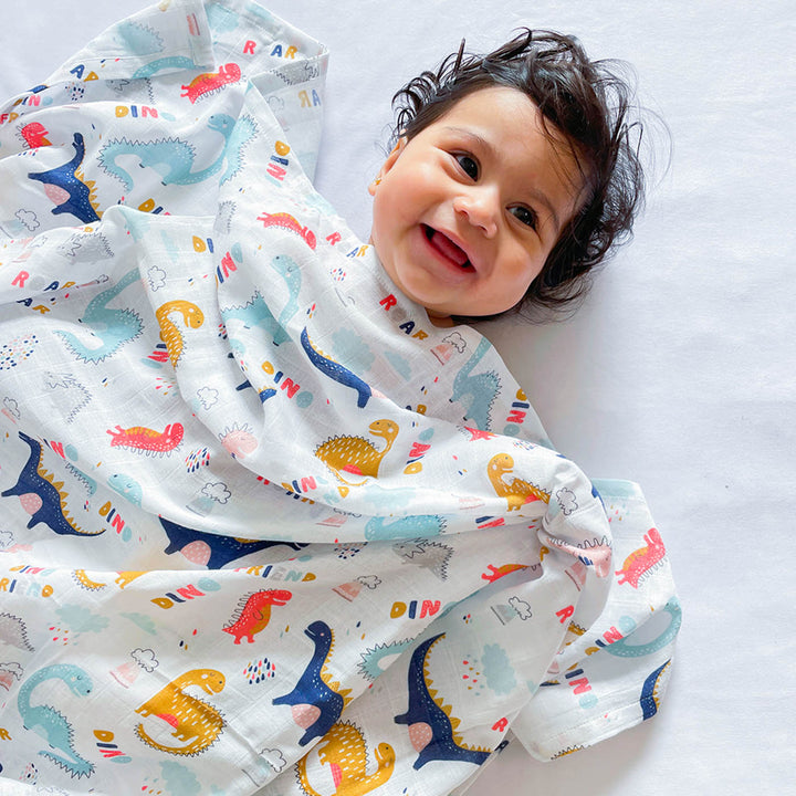 2 Pc | Premium Dino Friend & Doodle Circles Swaddle Set | 0-4 Years