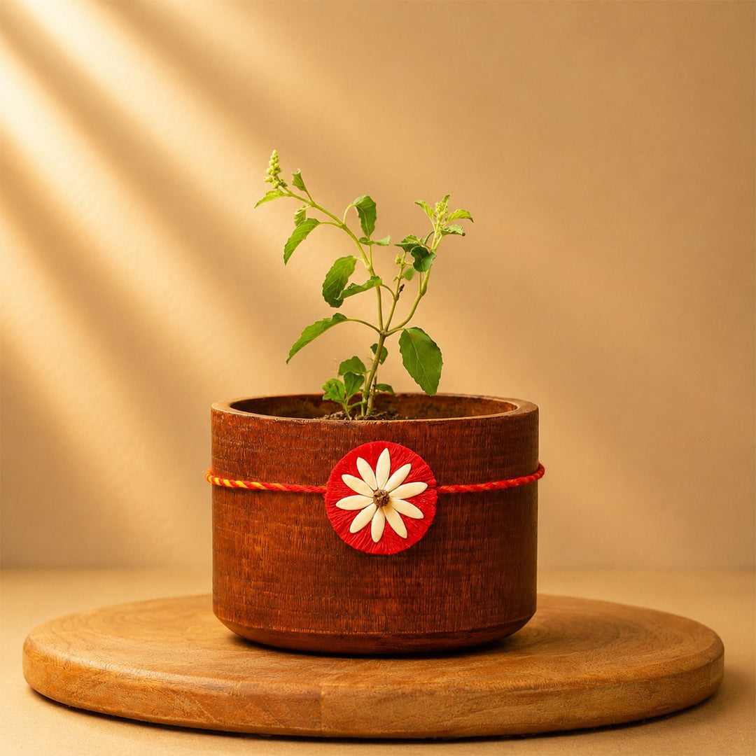 Plantable Beejbandhan Rakhi Box With Roli-Chawal & Eco-Friendly Outer Box For Brother