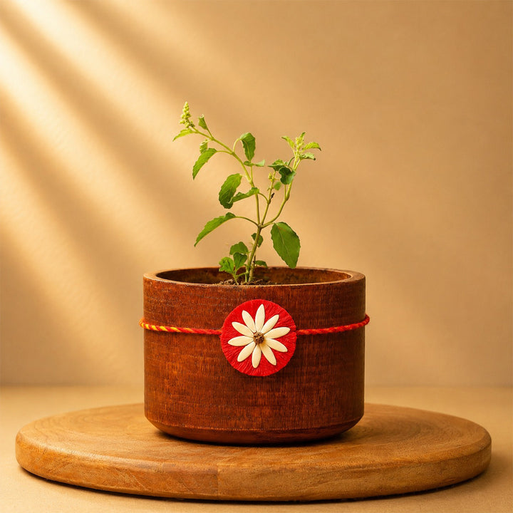 Plantable Beejbandhan Rakhi Box With Roli-Chawal & Eco-Friendly Outer Box For Brother