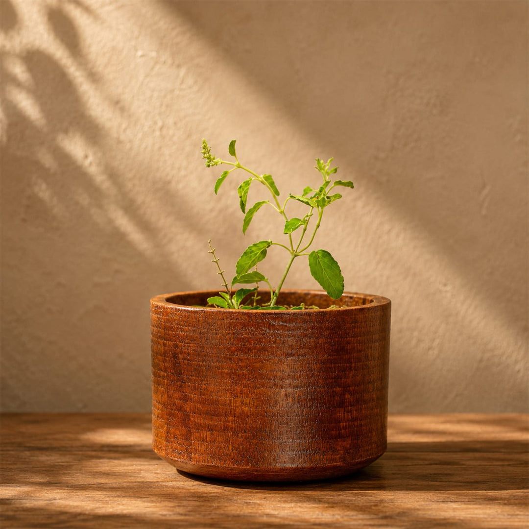 Plantable Nazarbattu Rakhi-Lumba Grow Box With Wooden Planter & Roli-Chawal For Bhaiya Bhabhi | Set of 2