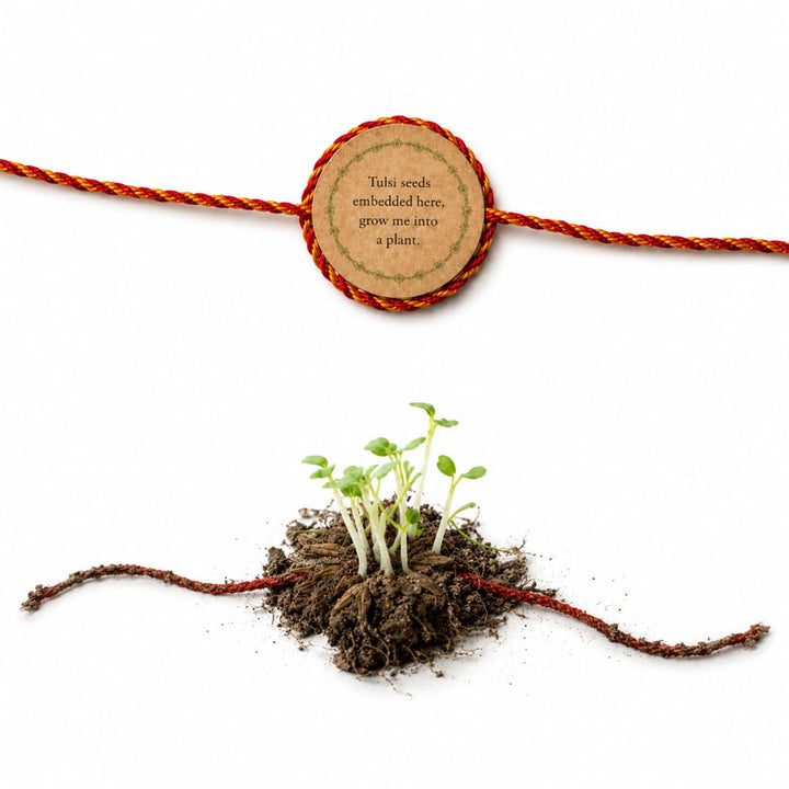 Plantable Sneh Seed Rakhi With Tulsi & Coriander Seeds For Brother