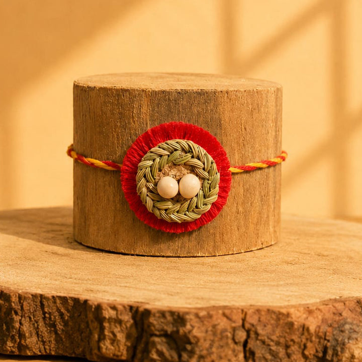 Plantable Basera Rakhi With Bird's Nest Motif in Fennel & Pea Seeds For Brother