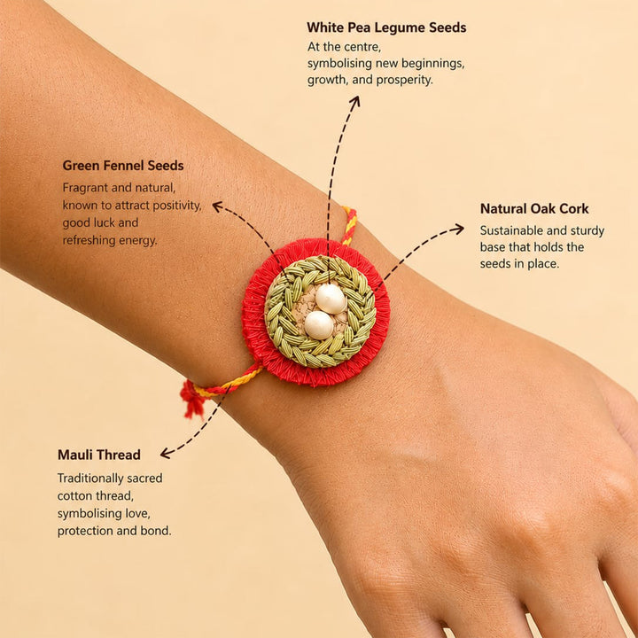 Plantable Basera Rakhi With Bird's Nest Motif in Fennel & Pea Seeds For Brother