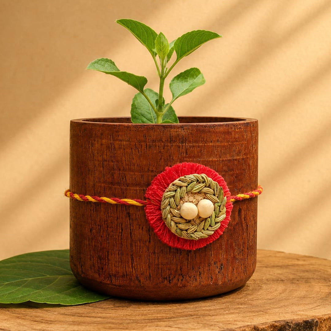 Plantable Basera Rakhi With Bird's Nest Motif in Fennel & Pea Seeds For Brother