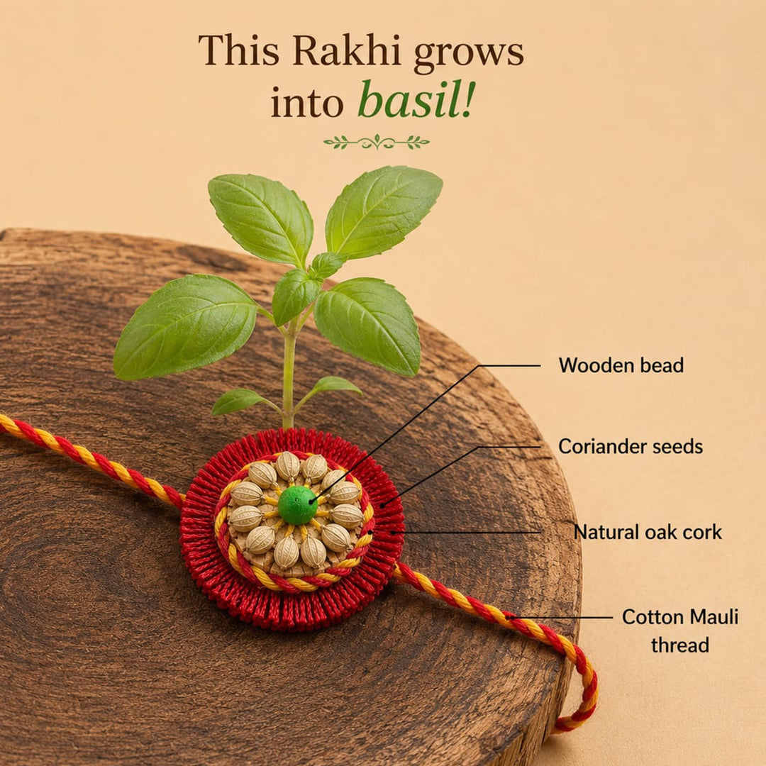Plantable Sneh Seed Rakhi With Tulsi & Coriander Seeds For Brother
