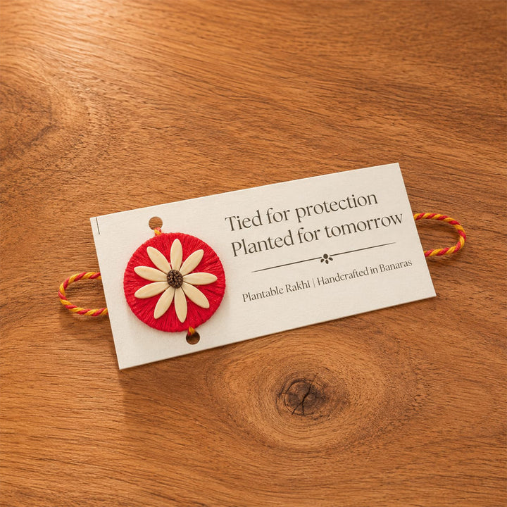 Plantable Beejbandhan Rakhi Box With Roli-Chawal & Eco-Friendly Outer Box For Brother