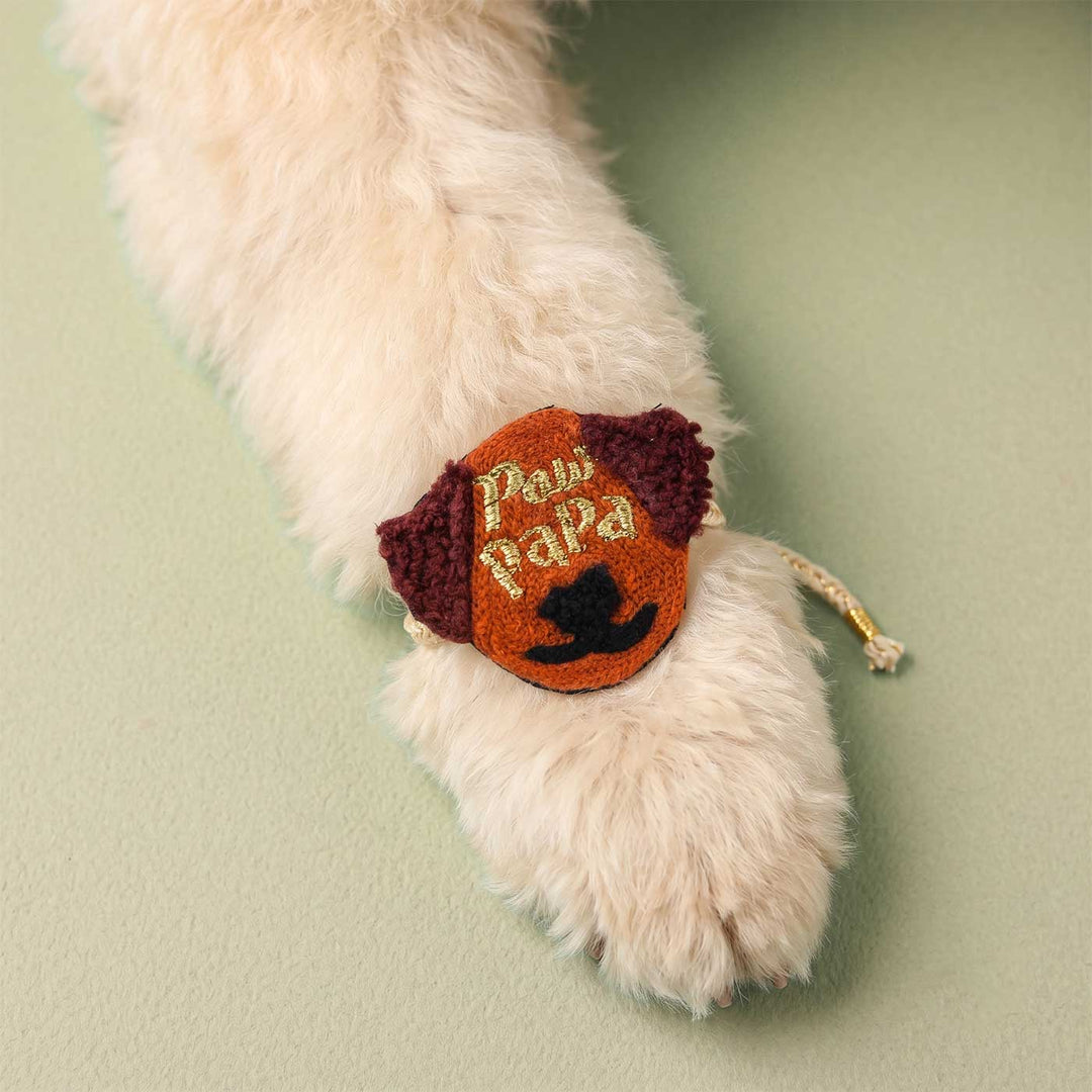 Handmade Thread Embroidered "Paw Papa" Reusable Rakhi Magnet For Brother