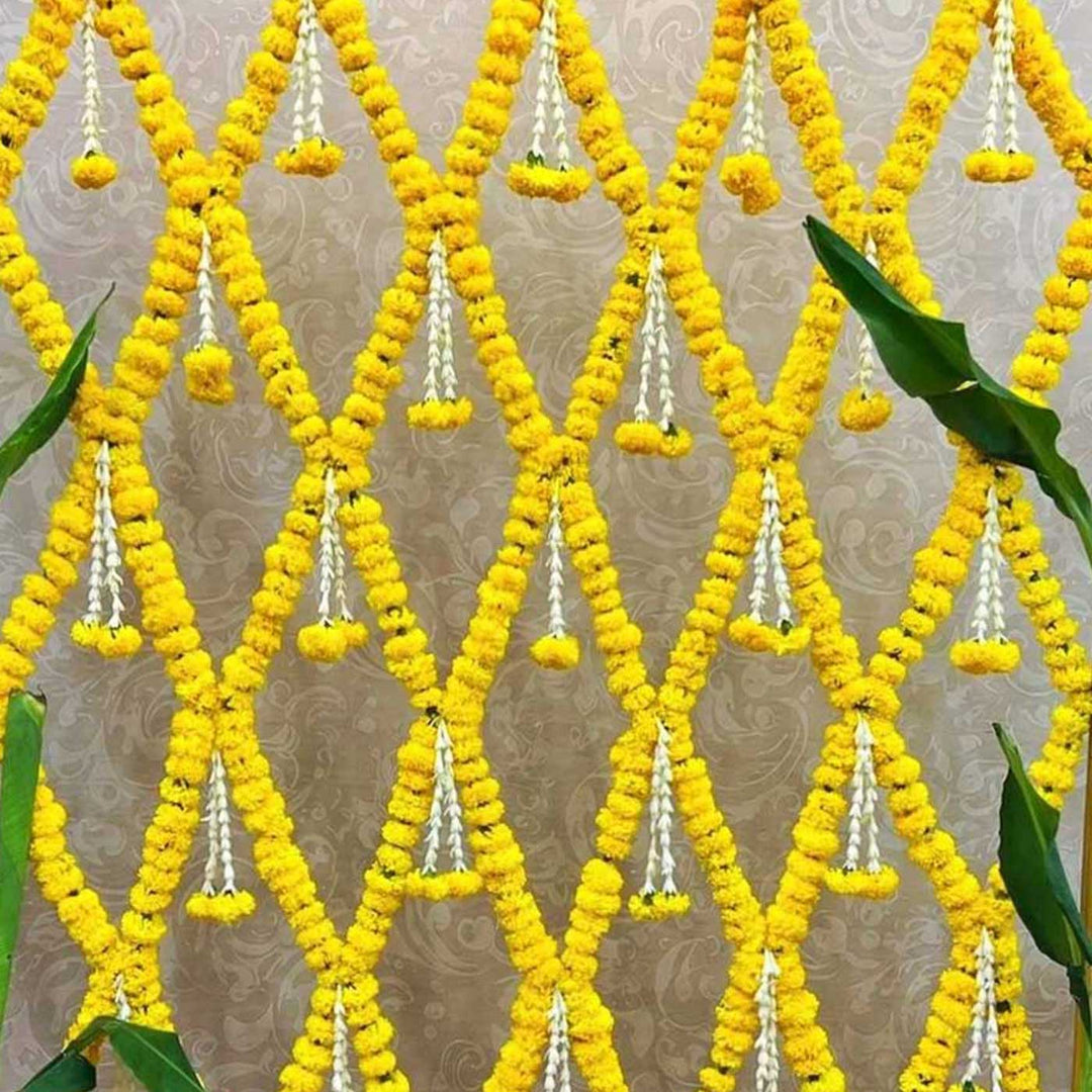 Foldable 6-in-1 Adjustable Gold Powder Coated Metal Backdrop Frame Stand With Storage Bag