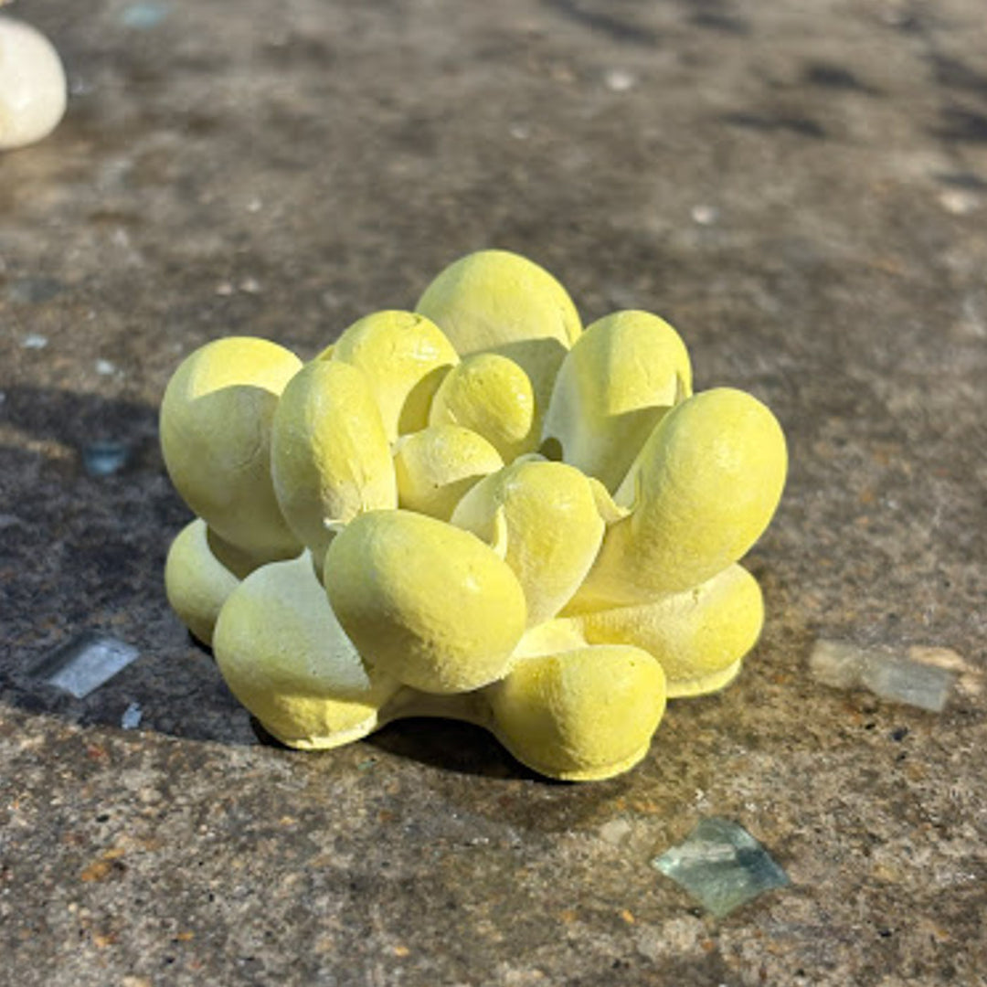 Handmade Concrete Twin Flame Hamper | Includes 2 Bird Centerpiece, 1 Candle Holder And 2 Succulents