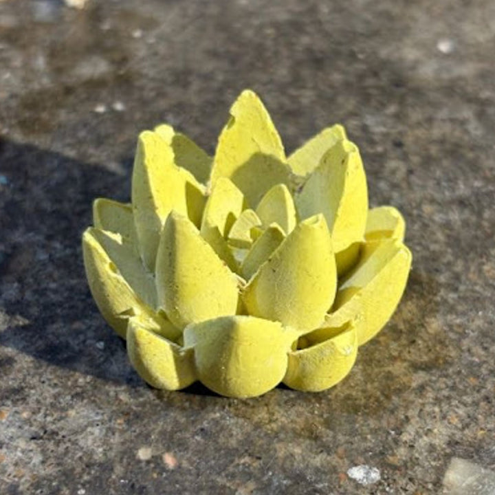 Handmade Concrete Twin Flame Hamper | Includes 2 Bird Centerpiece, 1 Candle Holder And 2 Succulents