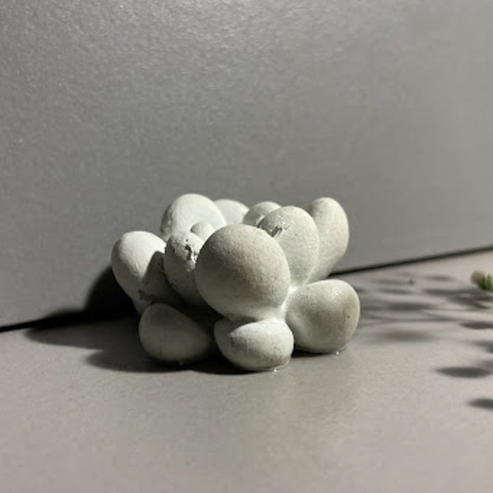 Handmade Concrete Floral Grace Hamper | Includes 2 Girl Centerpiece And 2 Succulents