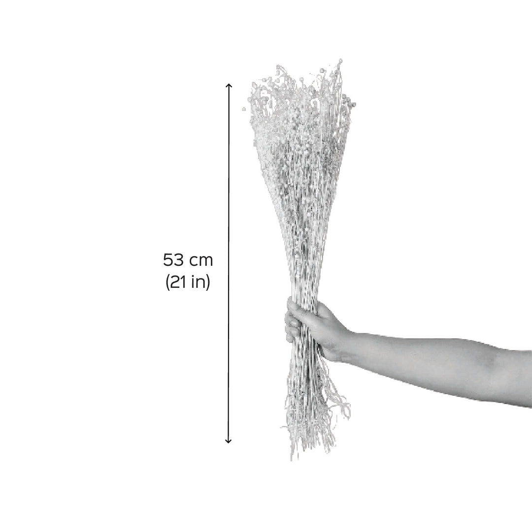 Yellow Natural Dried Tishi Grass
