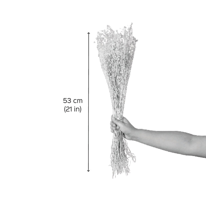 Yellow Natural Dried Tishi Grass