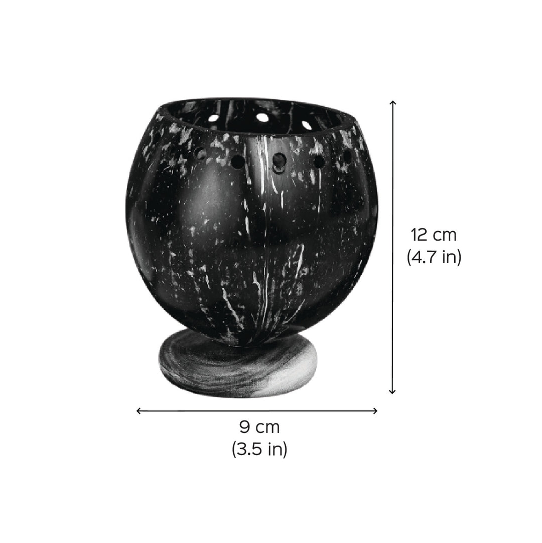 Eco-Friendly Wooden Base Coconut Shell Planter