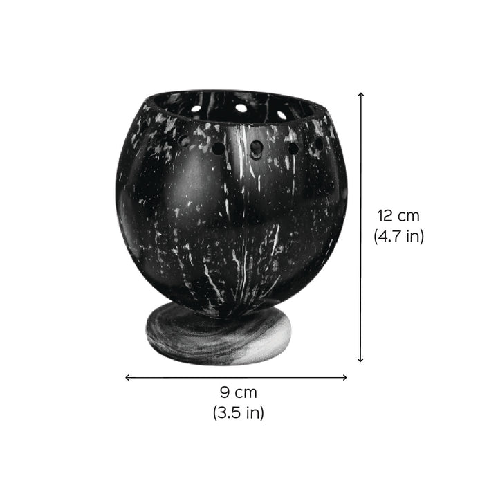 Eco-Friendly Wooden Base Coconut Shell Planter