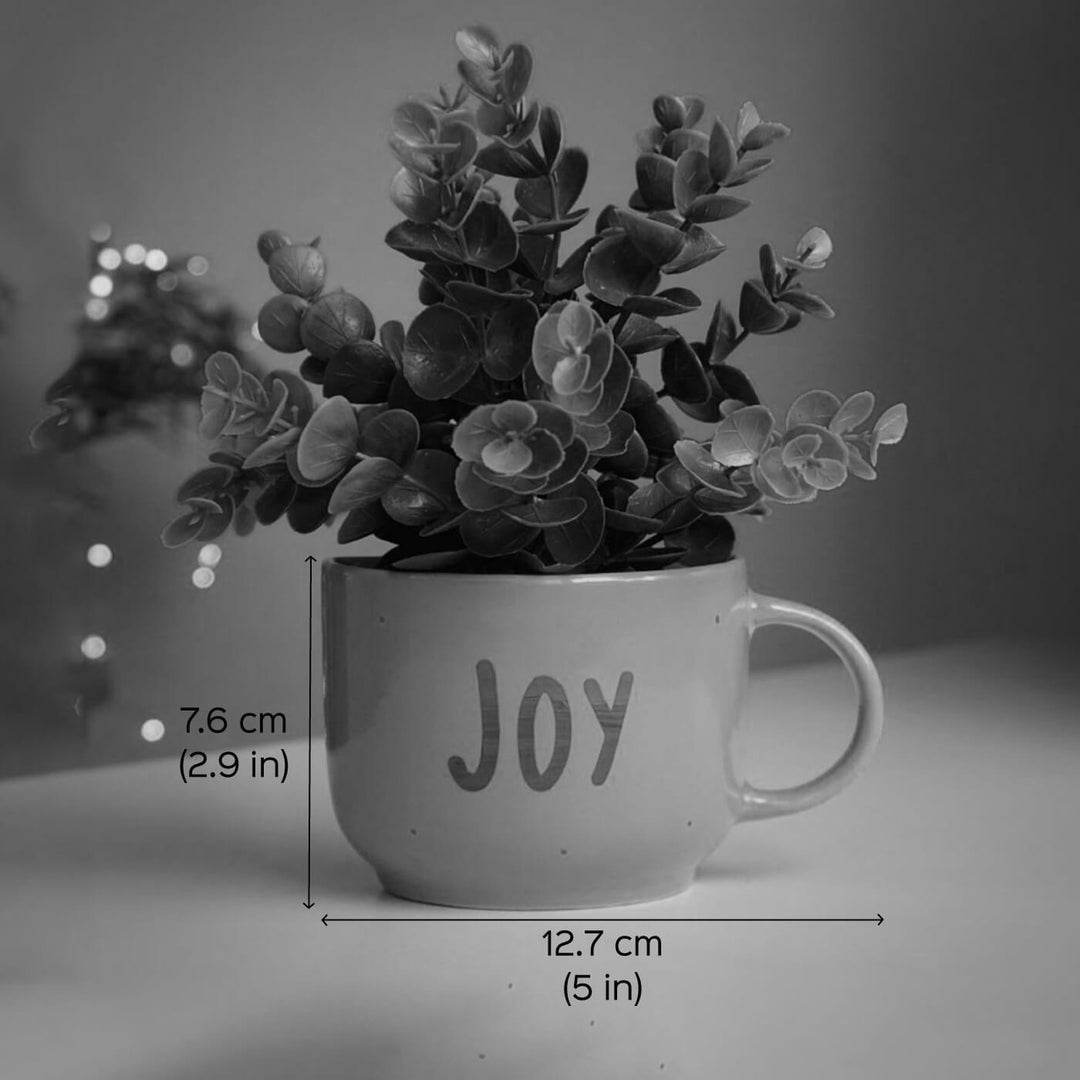 Themed Ceramic Cup Planter Set - Happy Words