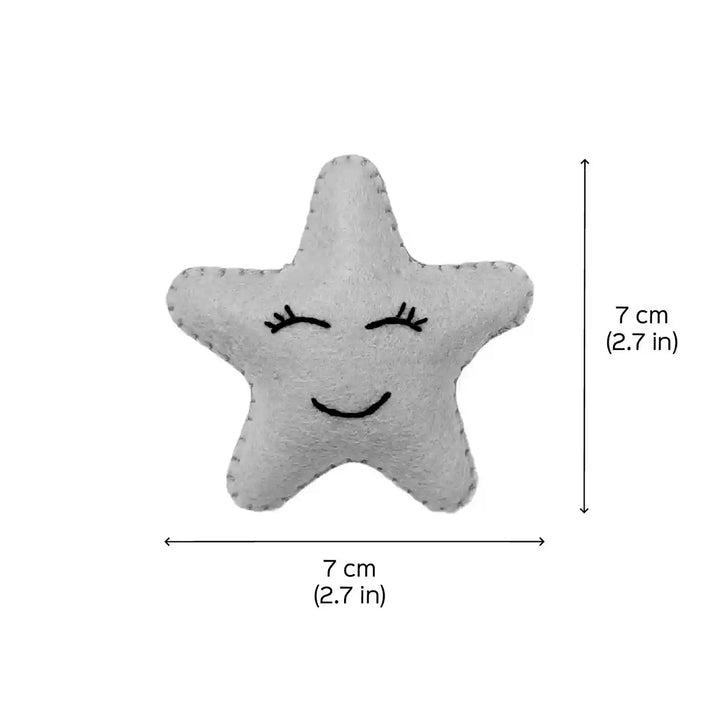 Handmade Smiley Star Theme Felt Brooches | Set Of 10