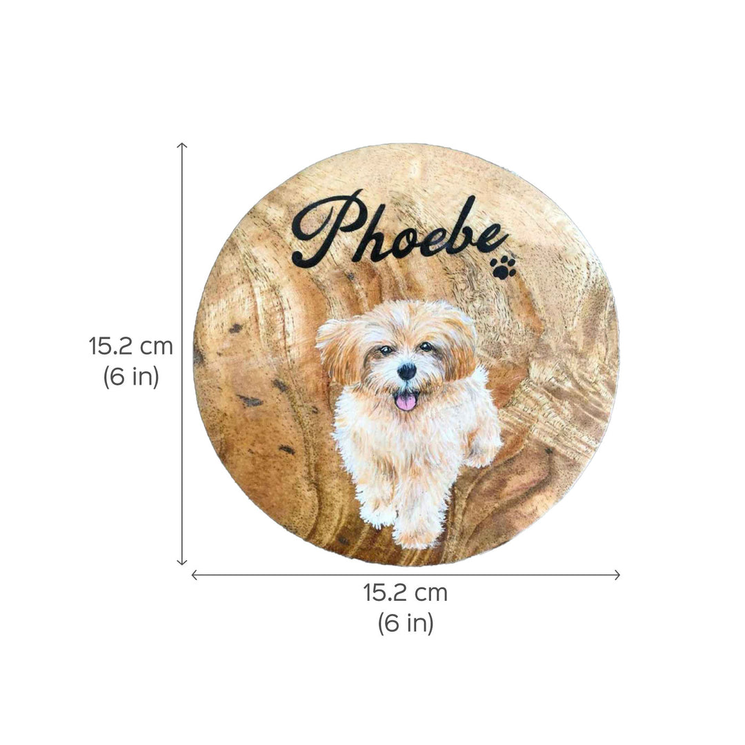 Personalized Handpainted Pet Portraits Wall Plates
