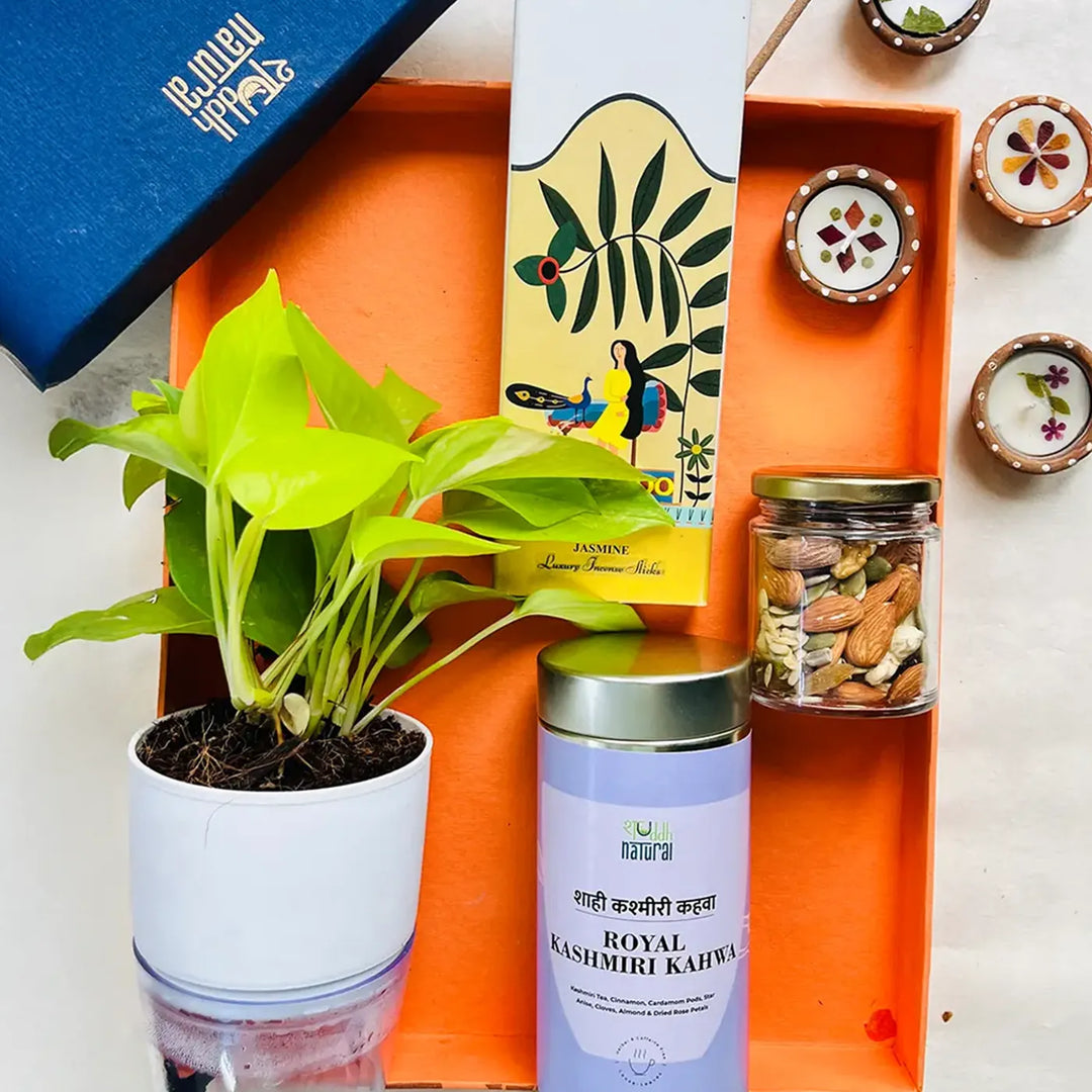 Eco-friendly Diwali Gift Hamper | Includes 1 Self-watering Money Plant, 1 Incense Pack, 1 Floral Tisane, 1 Dry Fruits Jar, 1 Festive Card