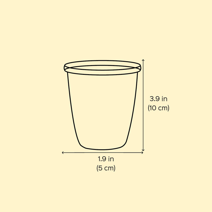 2Pc | Hand-Painted Red & Blue Floral Kashmiri Art Stainless Steel Shot Glasses