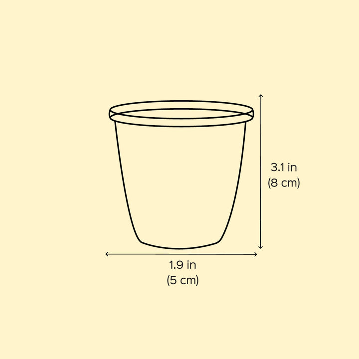 2Pc | Hand-Painted Yellow & Pink Floral Kashmiri Art Stainless Steel Shot Glasses