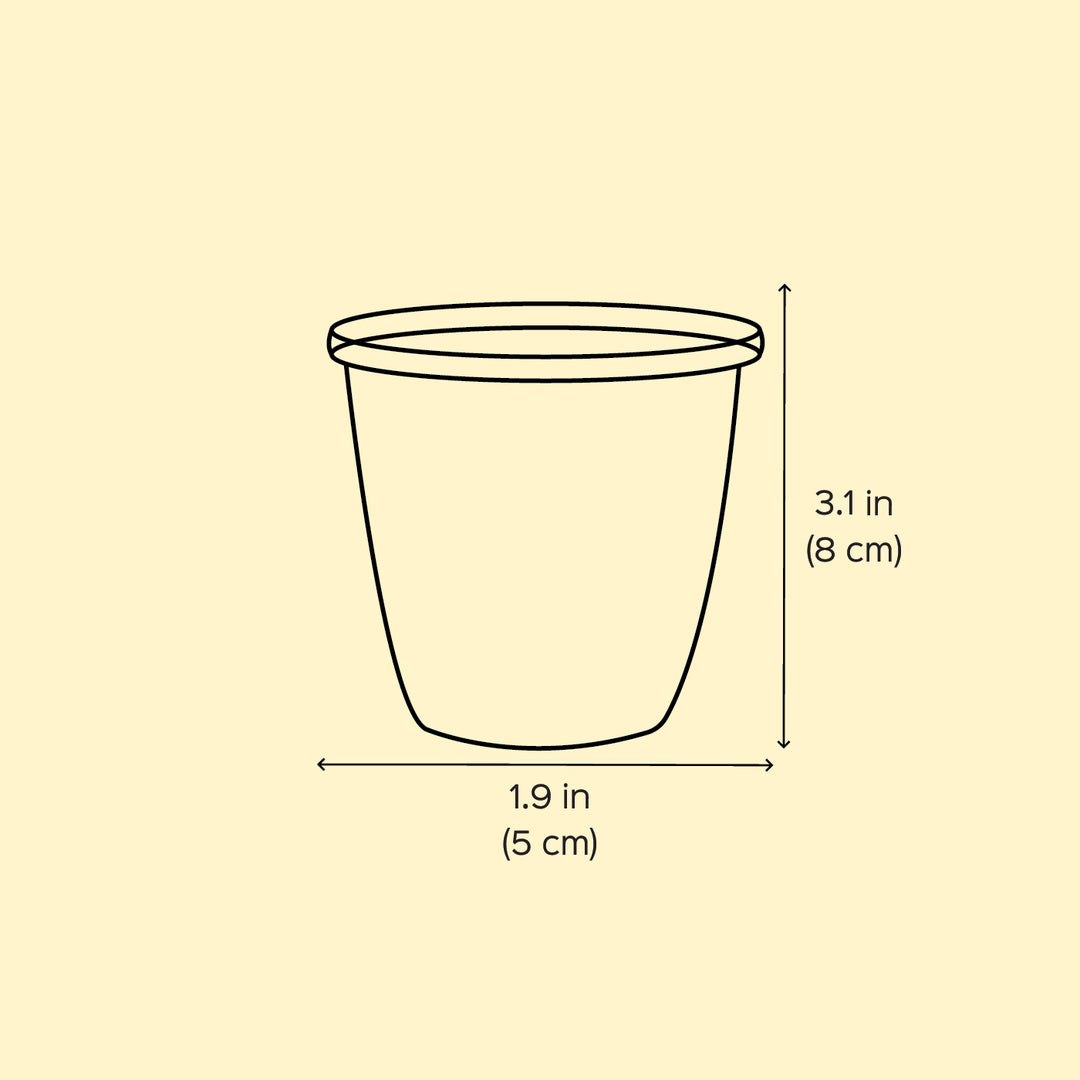 2Pc | Hand-Painted Pink & Yellow Floral Kashmiri Art Stainless Steel Shot Glasses