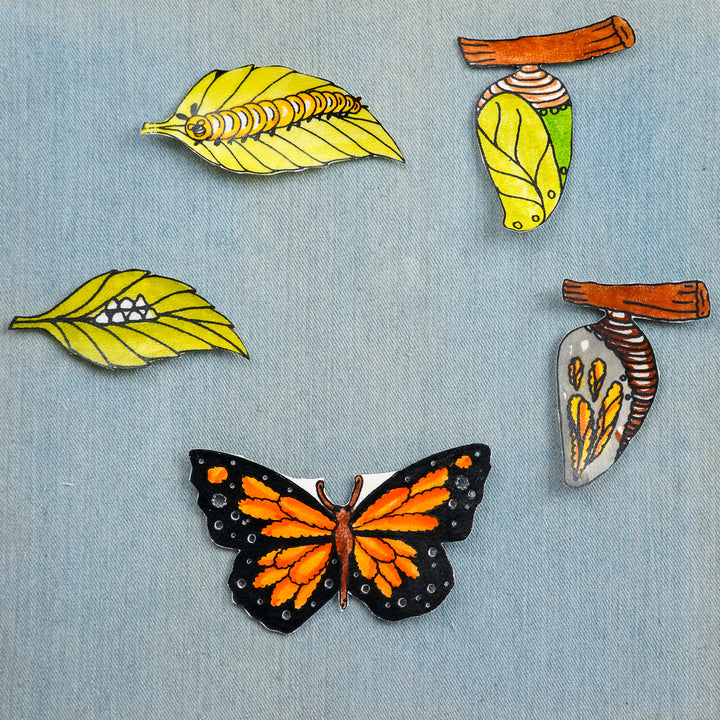 Hand-Painted Lifecycle Of Butterfly Tholu Bommalata Fridge Magnets | Set Of 5