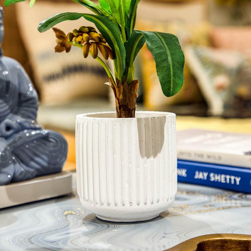 Lipy Multi-Purpose Jar White