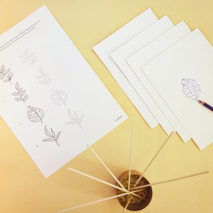 Aesthetic Flora Art Set - Printable Line Art Mini Guidebook