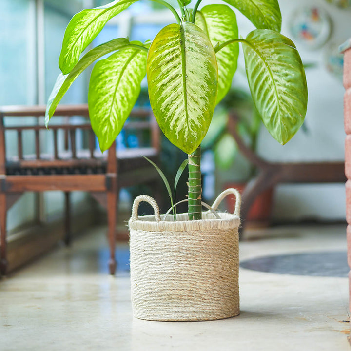 Handcrafted Jute Bin with Double Handle