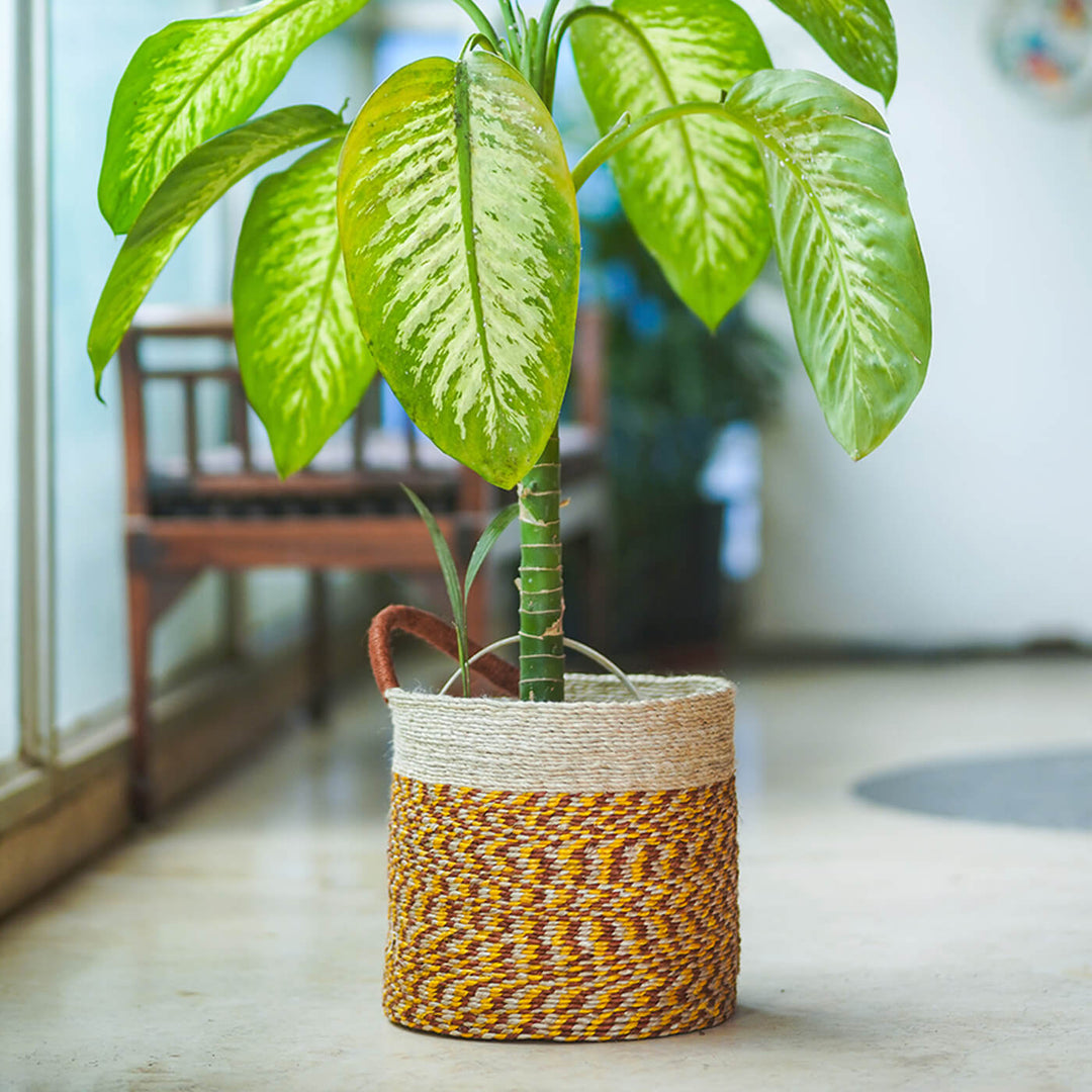 Ecofriendly Jute Bin with Handle