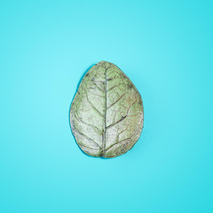 Papier Mache Brooch - Green Leaf