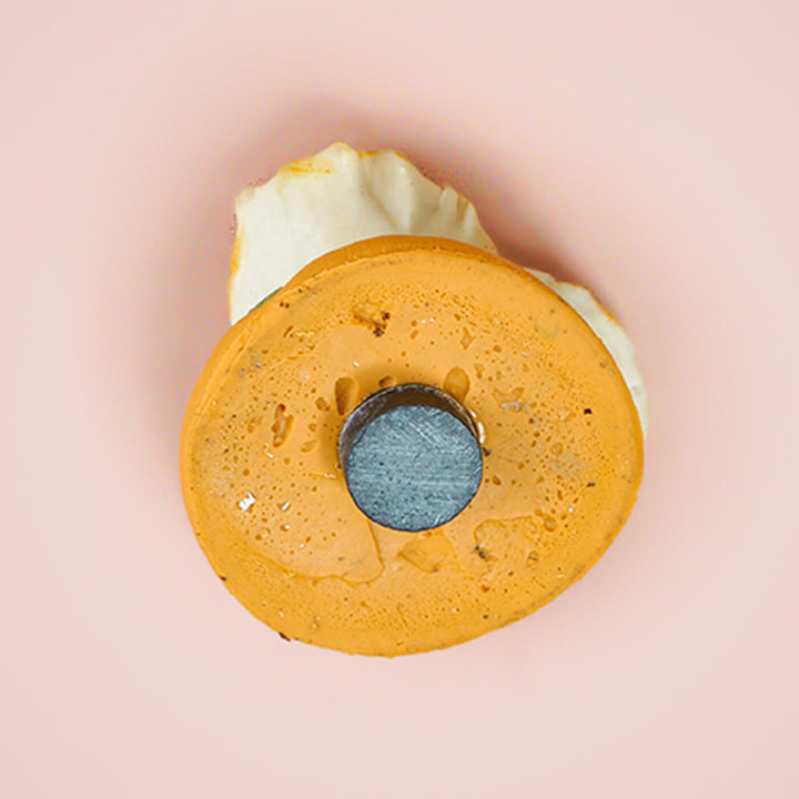 Miniature Fridge Magnets - Appam
