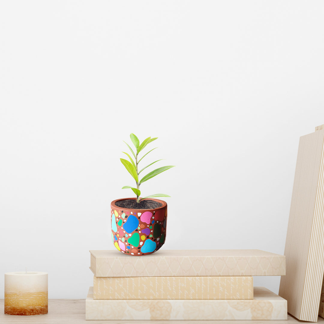 Handpainted Terracotta Terrazzo Tiles Planter Pot