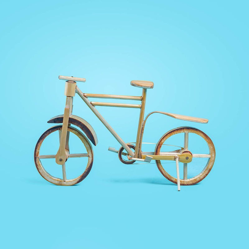 Bamboo Toy Cycle
