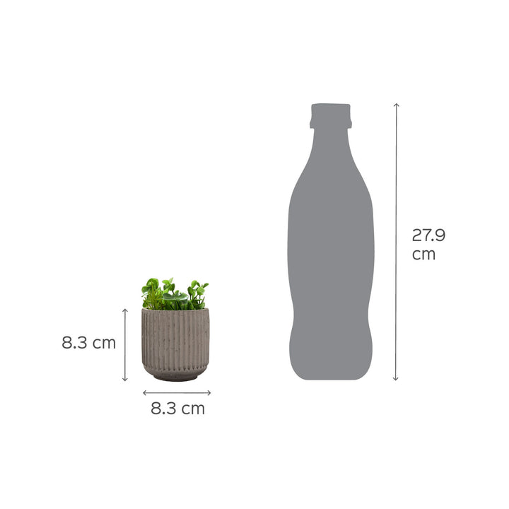 Lipy Multi-Purpose Jar White